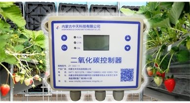 中國北方CO?新技術(shù)，將促進農(nóng)作物光合作用和光合產(chǎn)物的生成