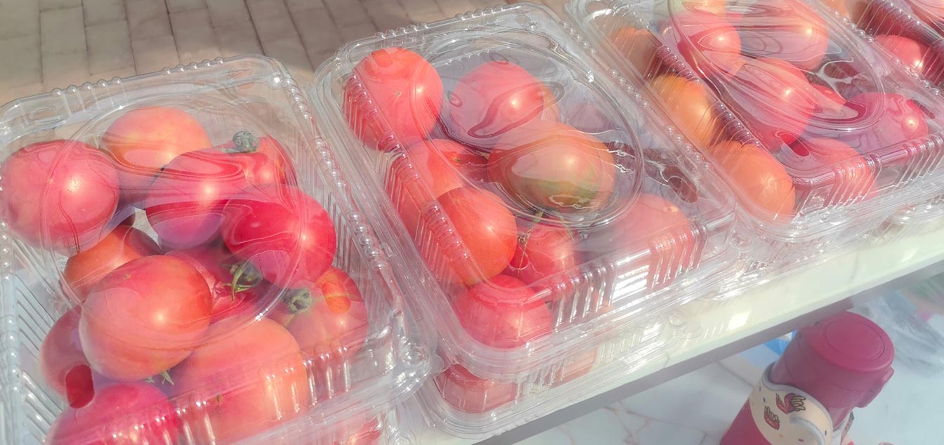 自治區(qū)綠色優(yōu)質(zhì)果蔬展銷中心psd-恢復(fù)的_17.jpg 自治區(qū)綠色優(yōu)質(zhì)果蔬展銷中心psd-恢復(fù)的_17.jpg