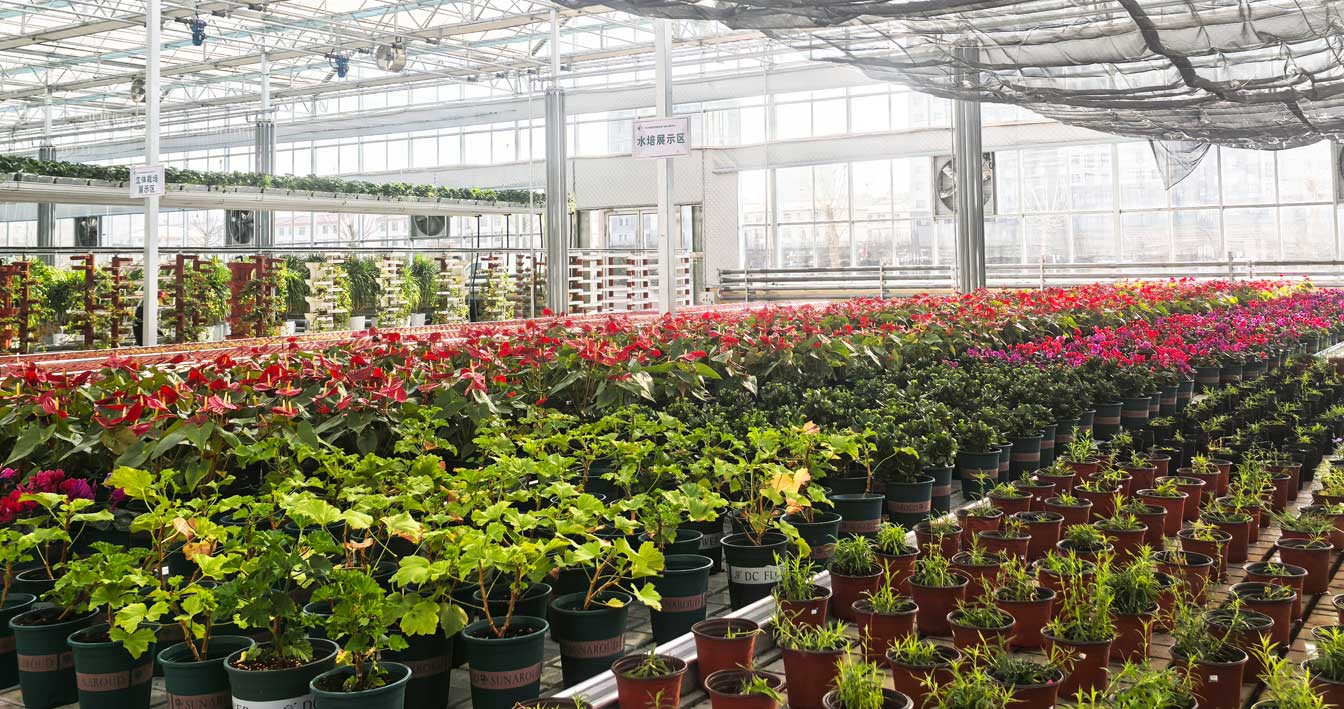 自治區(qū)綠色優(yōu)質(zhì)果蔬展銷中心psd-恢復(fù)的_26.jpg 自治區(qū)綠色優(yōu)質(zhì)果蔬展銷中心psd-恢復(fù)的_26.jpg